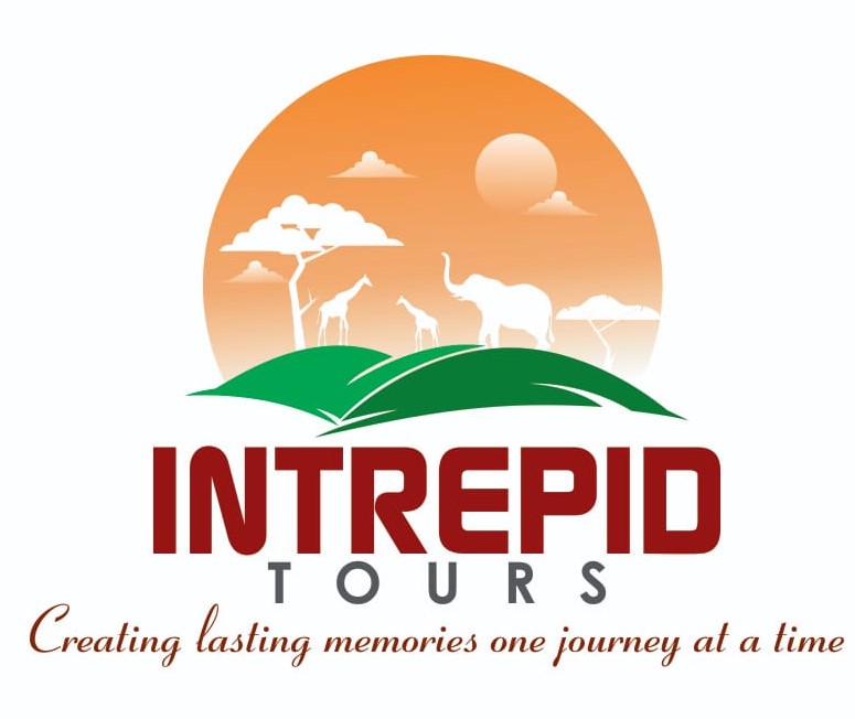 intrepid travel tours to india